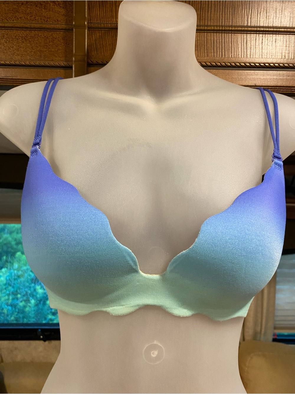 Victoria's Secret Sexy Push Up Ombre Bra: Sz. 36B
